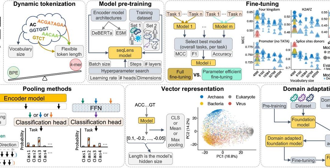 Large Language Models for DNA to Advance Health
